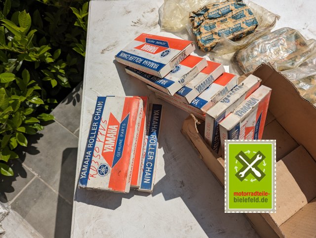 PXL_20240511_114448592